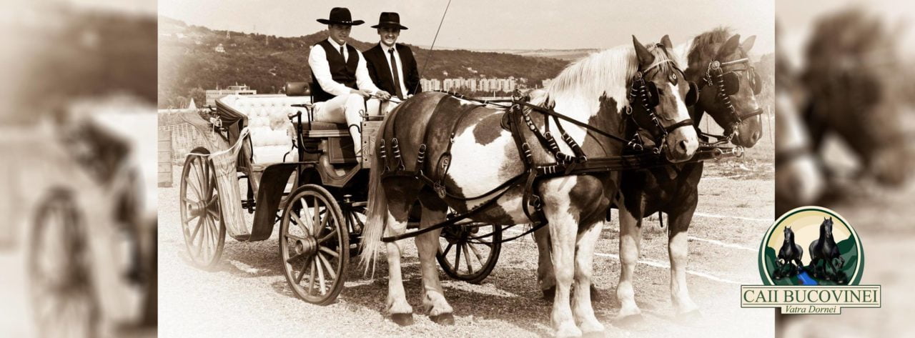 Transport - Caii Bucovinei