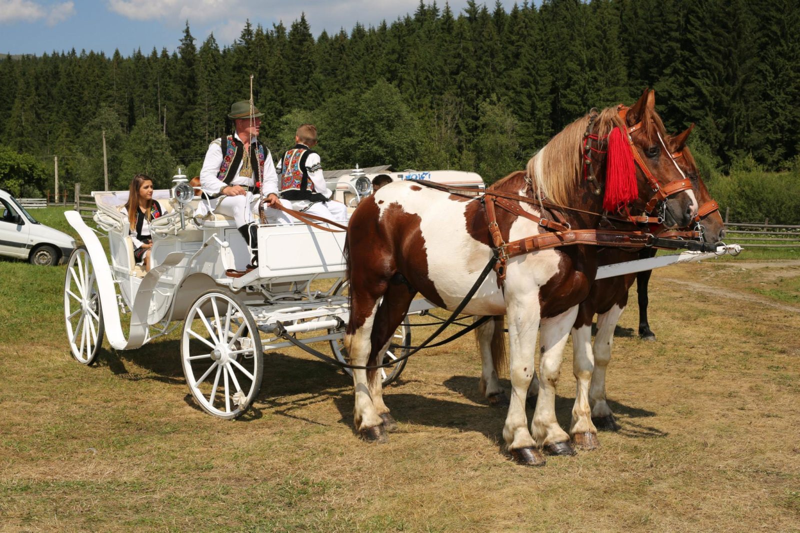 Transport - Caii Bucovinei 5