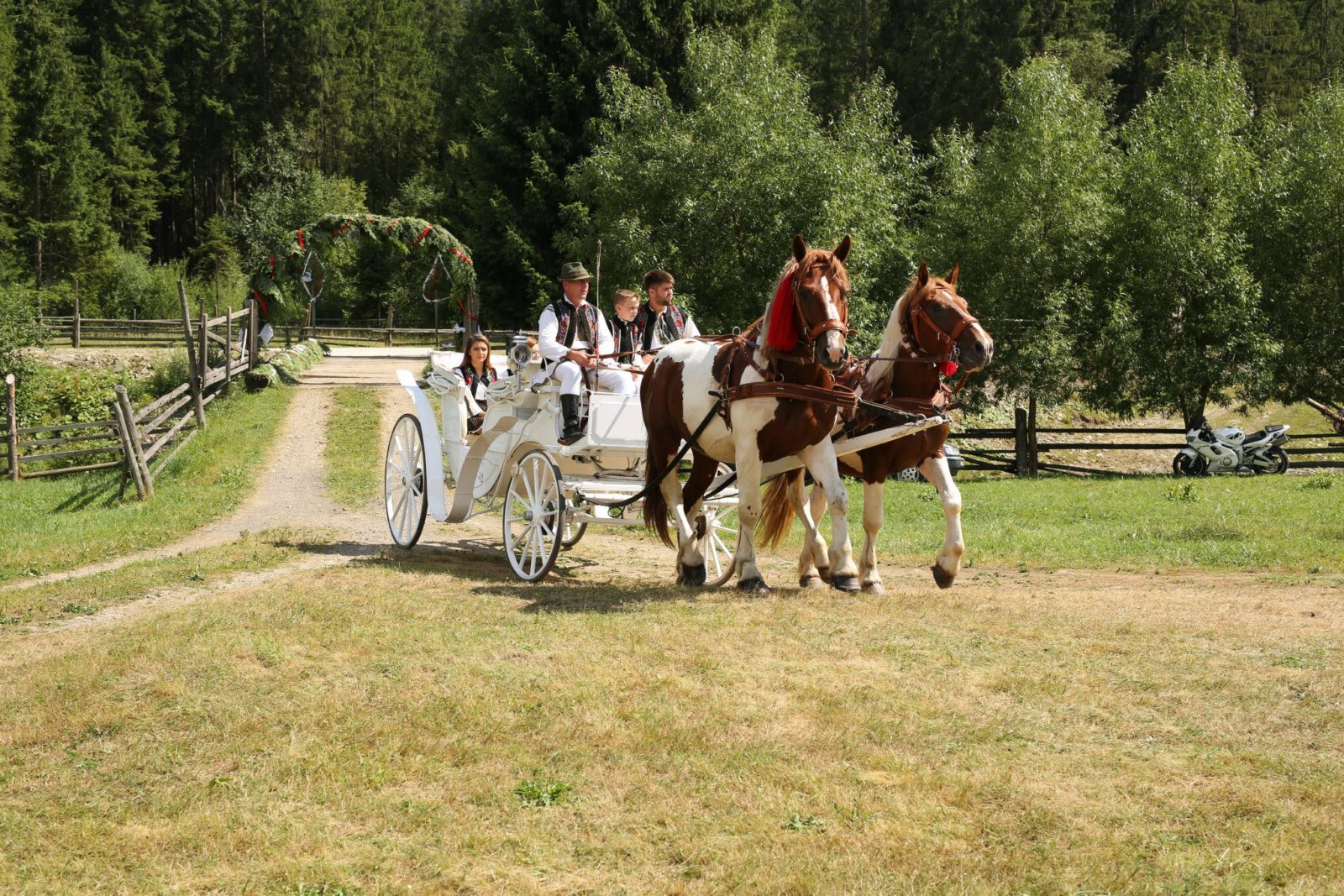 Transport - Caii Bucovinei 4