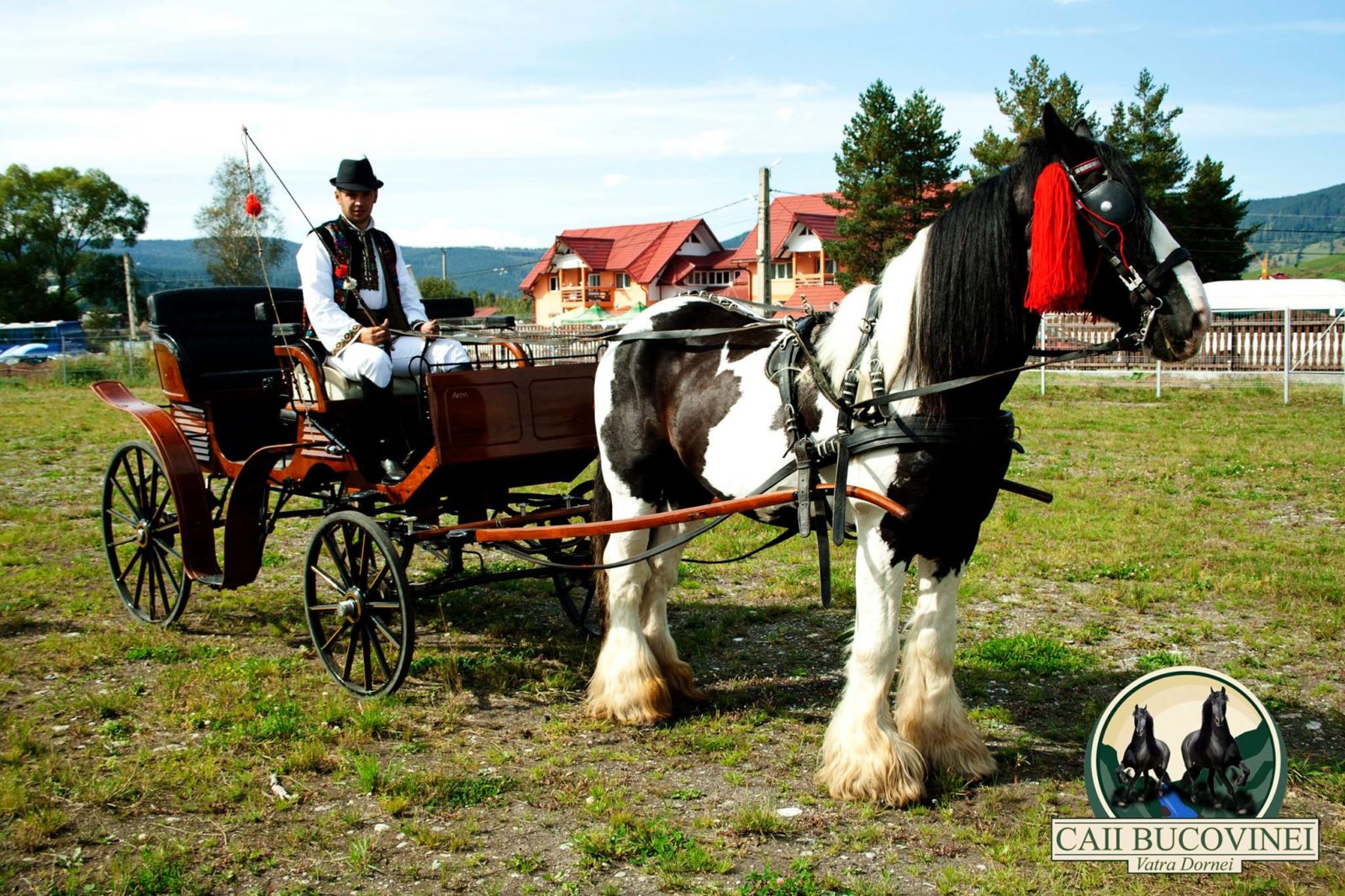 Transport - Caii Bucovinei 2