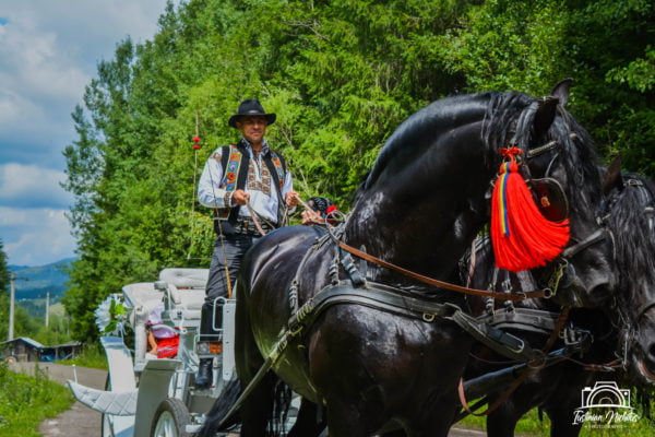 - Domeniul Cailor Bucovina